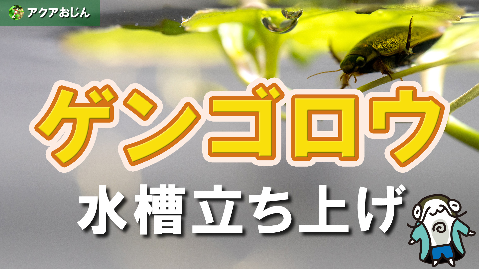 飛ぶ ゲンゴロウ ゲンゴロウ 飛ぶ