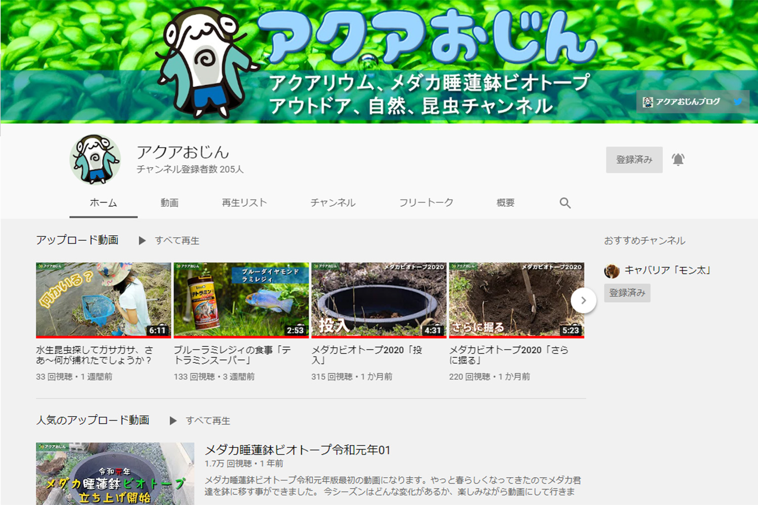 Youtube チャンネル 登録 者 数