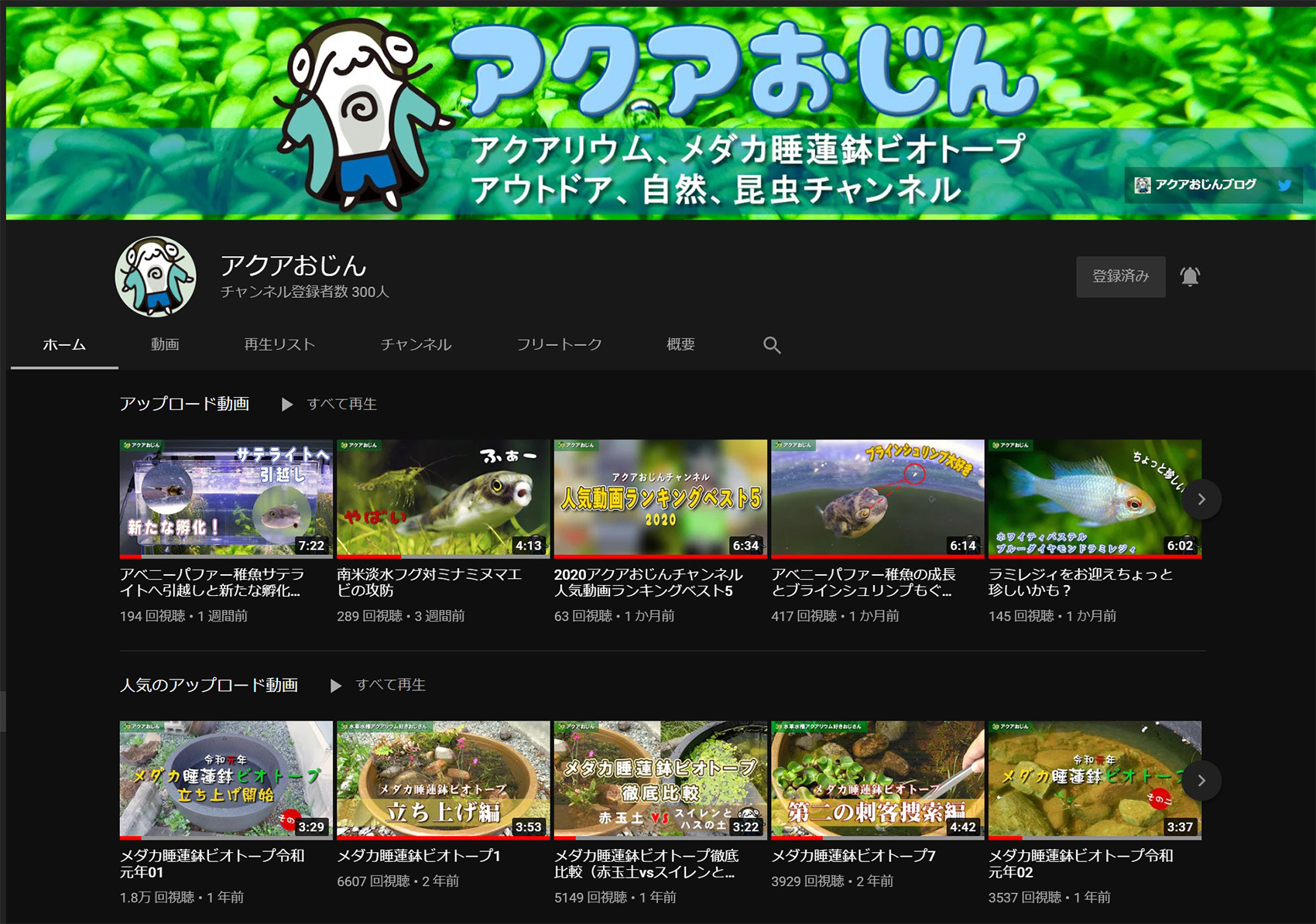 Youtubeチャンネル登録者数300人 アクアおじんブログ